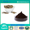 Senna Leaf Extract Weight Loss