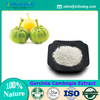 Garcinia Cambogia Extract