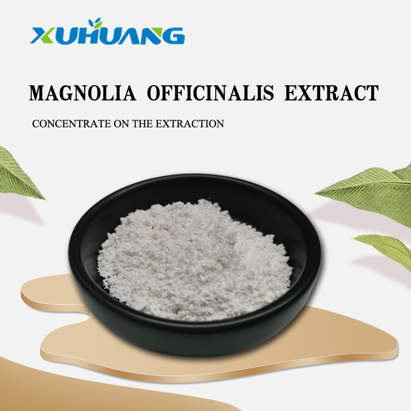 Magnolia Extract 