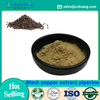 Black Pepper Extract Piperine