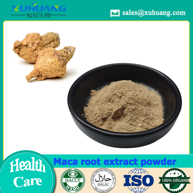 Maca Root Extract Powder