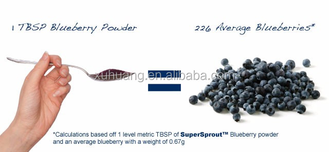 Blueberry Juice Powder