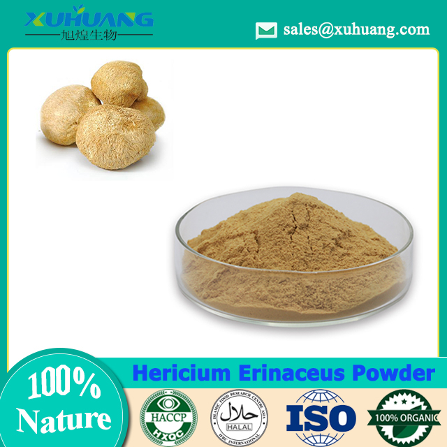 Hericium Erinaceus Powder