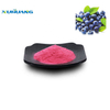 Blueberry Juice Powder