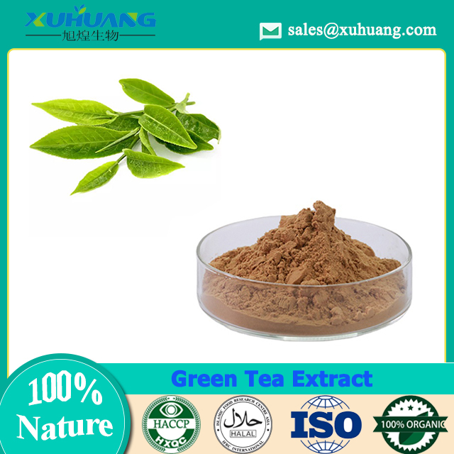 Green Tea Extract