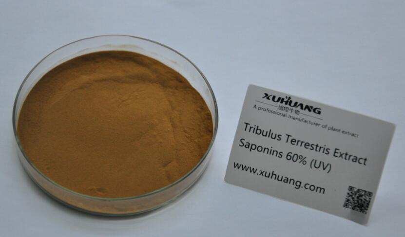 Tribulus Terrestris Extract 