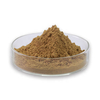 Ginkgo Biloba Leaf Extract