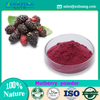 Beet Juice Powder