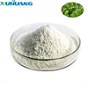 Green Tea Extract