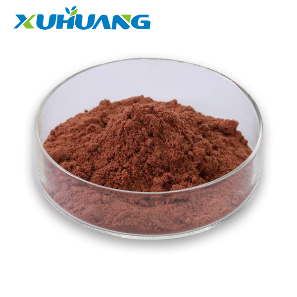 Grape Seed Extract