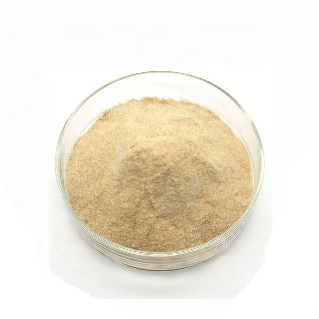 Brown Rice Protein Powder