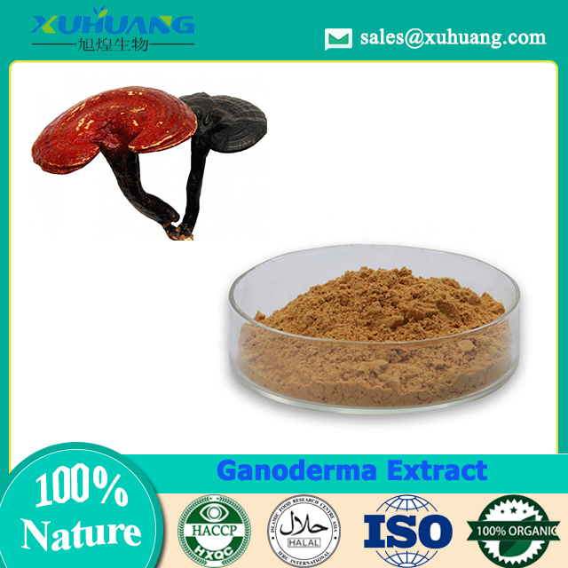 Ganoderma Extract