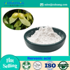 Acer Truncatum Seed Extract Nervonic Acid