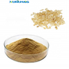 Lily Extract