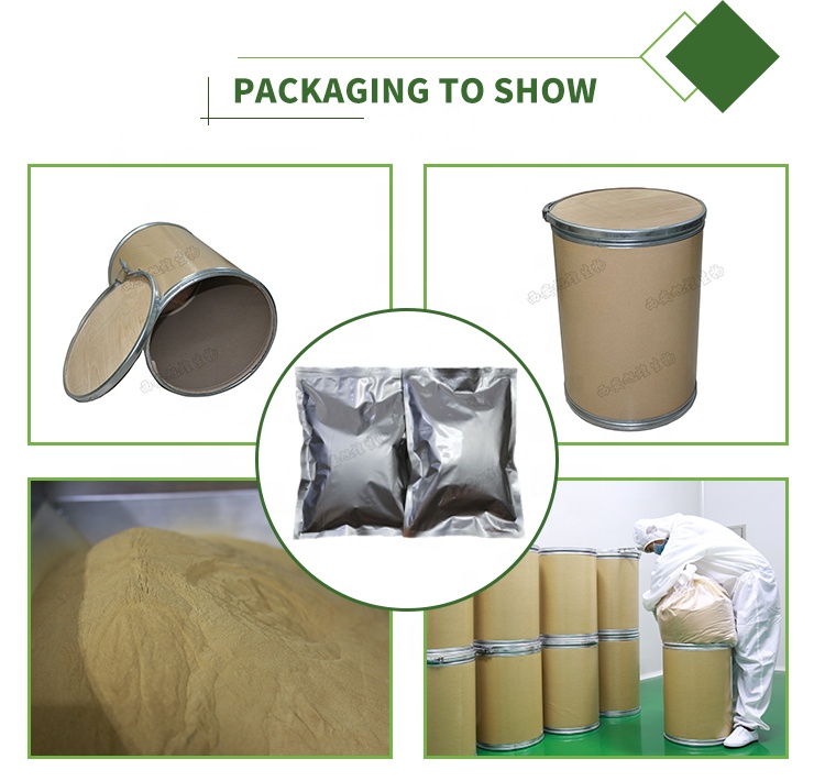 Scutellaria Baicalensis Extract Baicalin