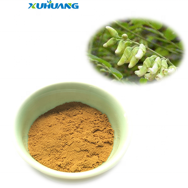 Sophora Flavescens Extract 