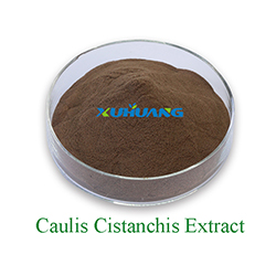 Caulis Cistanchis Extract