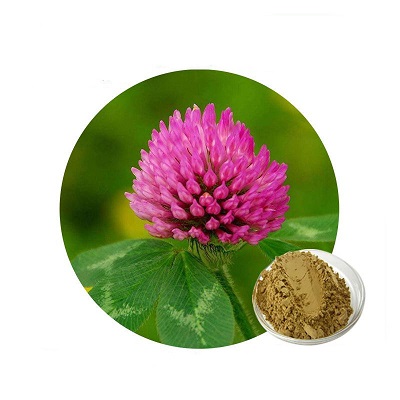 Clover and its uses