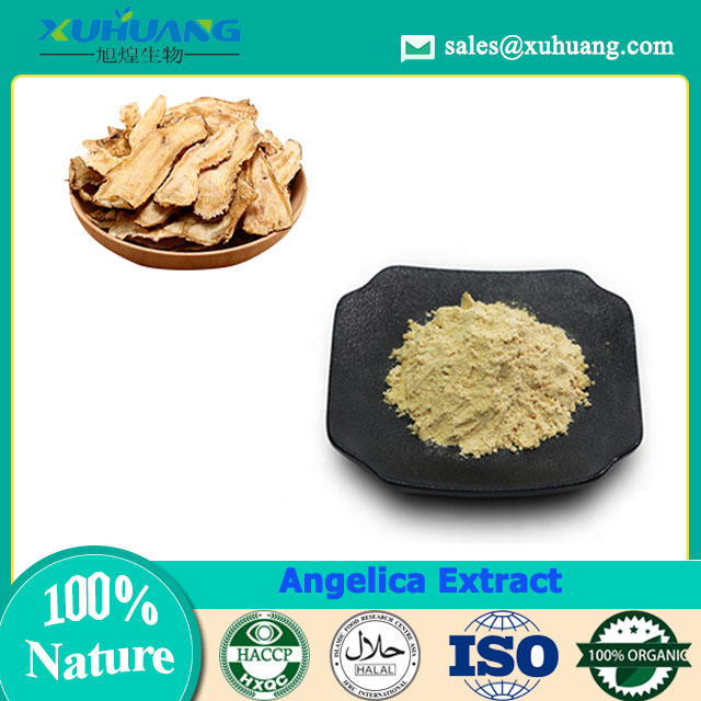 Angelica Extract